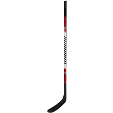 Warrior Rise Youth Hockey Stick