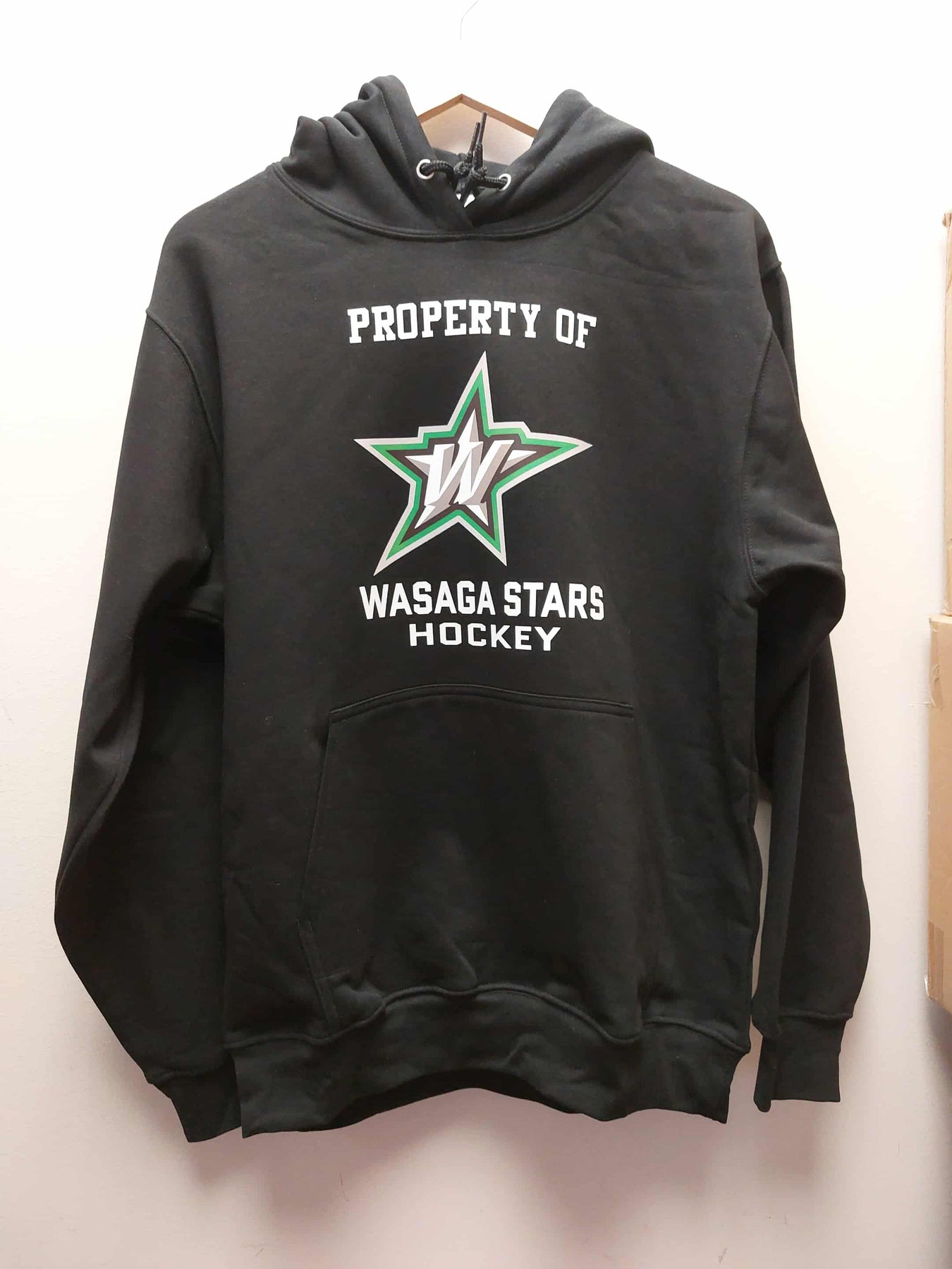 Wasaga Stars